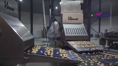 Автоматическая линия по производству наггетсов из курицы и рыбы